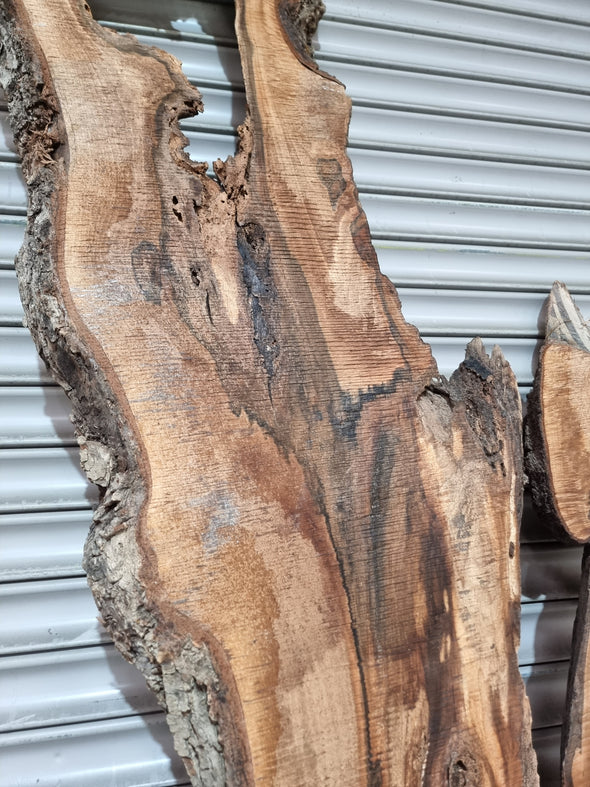 Live Edge Walnut Slab