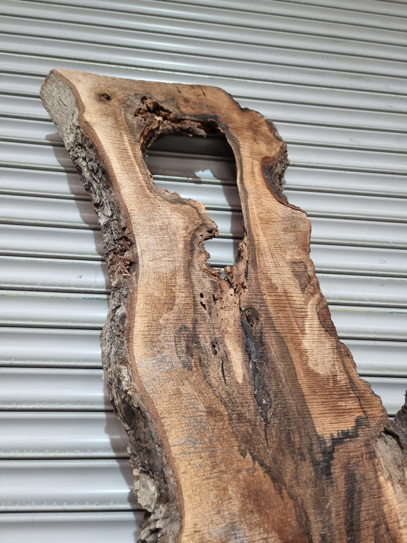 Live Edge Walnut Slab