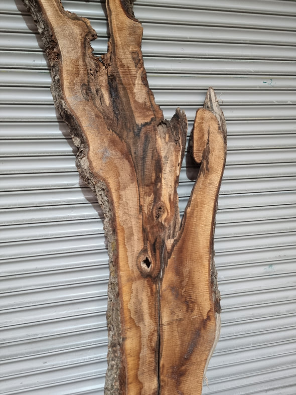 Live Edge Walnut Slab