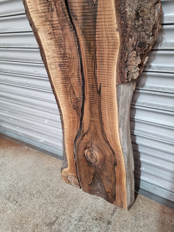 Live Edge Walnut Slab