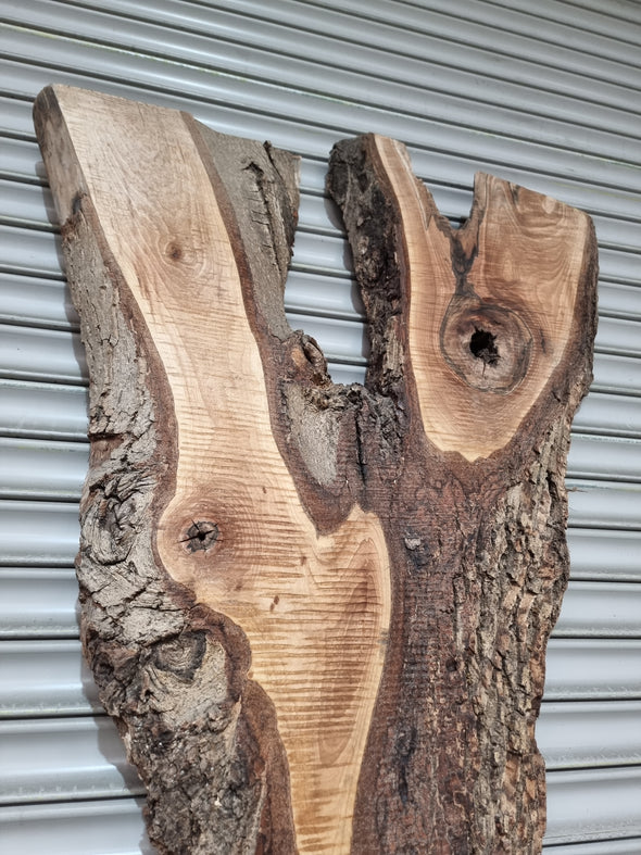 Live Edge Walnut Slab