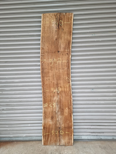 Live Edge Oak Slab