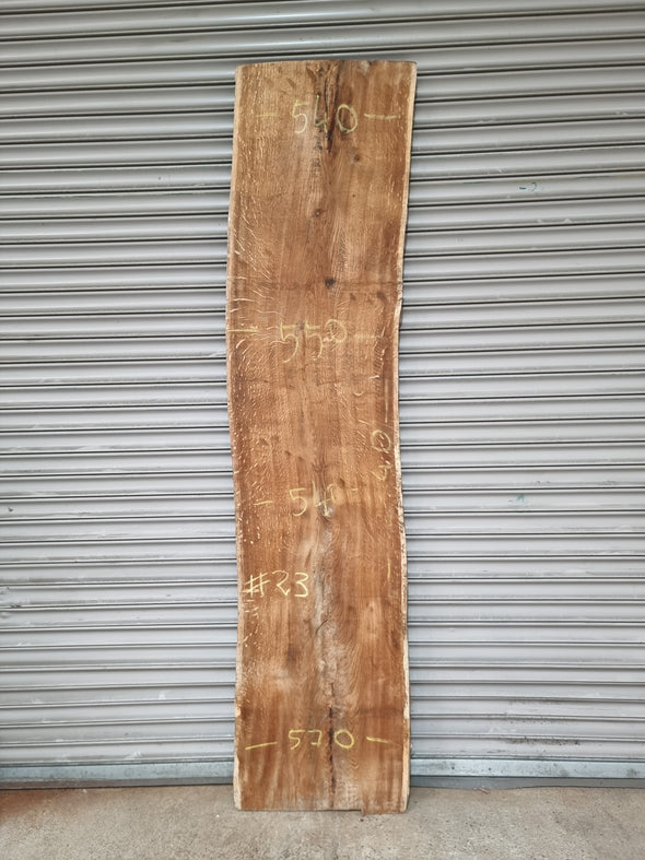 Live Edge Oak Slab