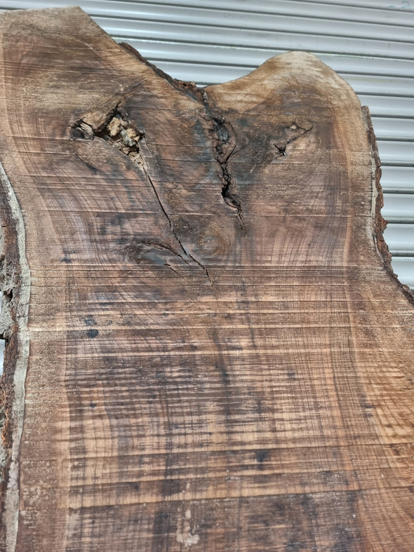 Live Edge Walnut Slab