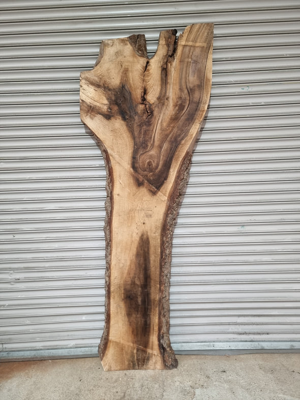 Live Edge Walnut Slab