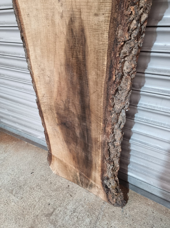 Live Edge Walnut Slab