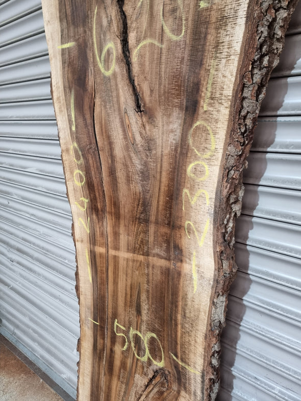 Live Edge Walnut Slab