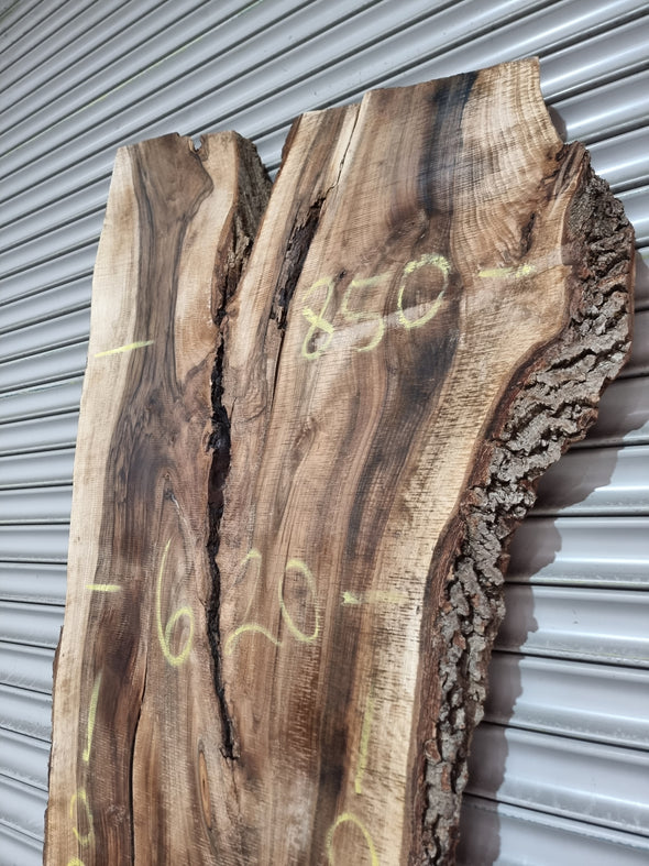 Live Edge Walnut Slab