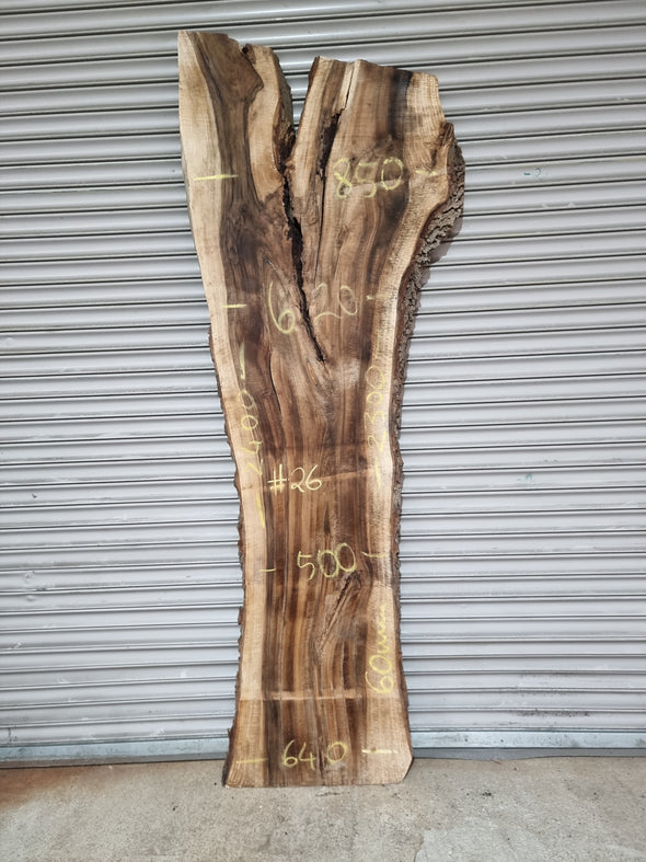 Live Edge Walnut Slab