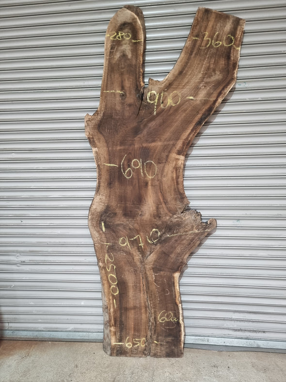 Live Edge Walnut Slab