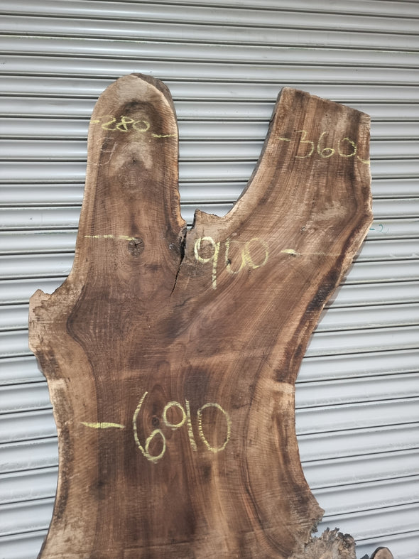 Live Edge Walnut Slab