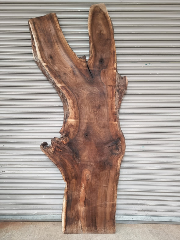 Live Edge Walnut Slab