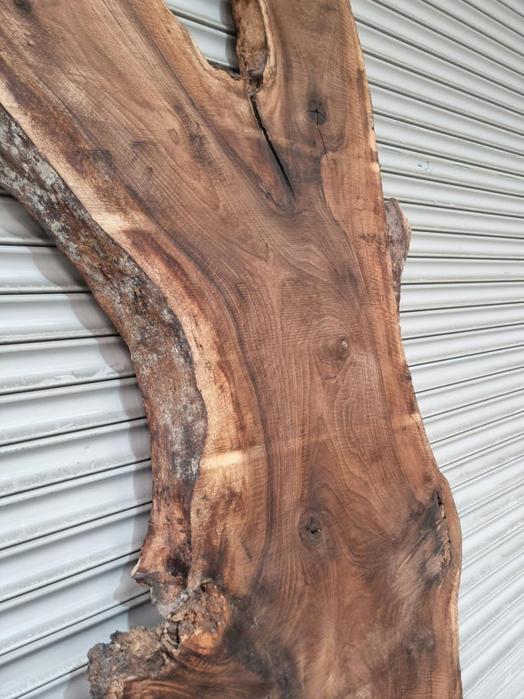 Live Edge Walnut Slab