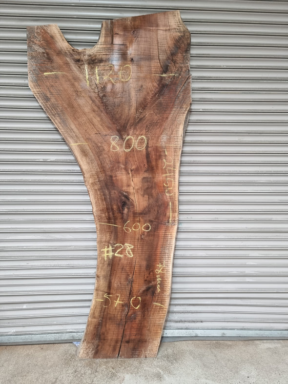 Live Edge Walnut Slab