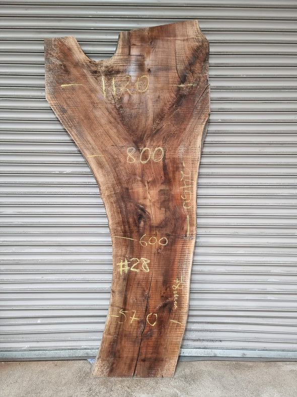 Live Edge Walnut Slab