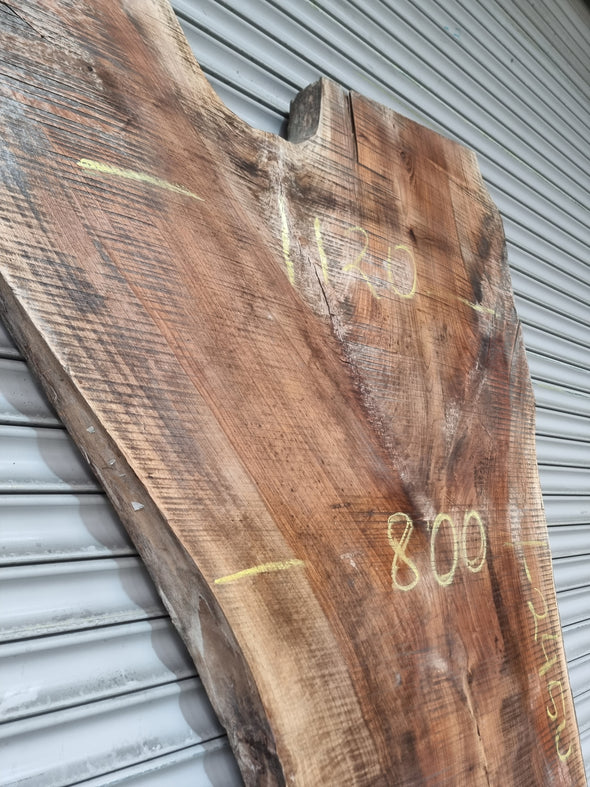 Live Edge Walnut Slab