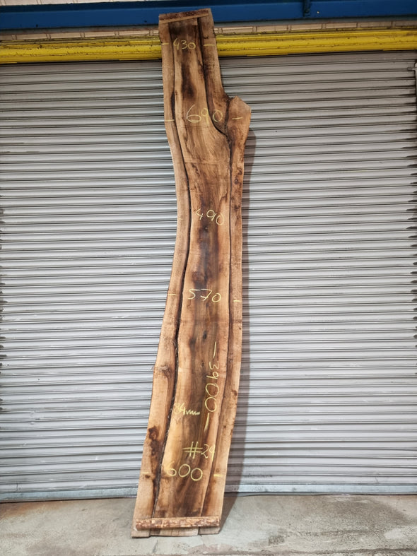 Live Edge Walnut Slab