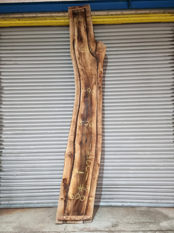 Live Edge Walnut Slab