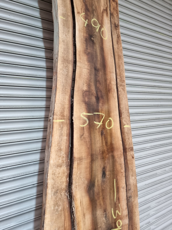 Live Edge Walnut Slab