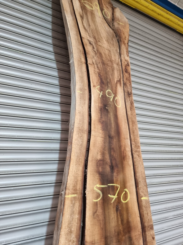 Live Edge Walnut Slab