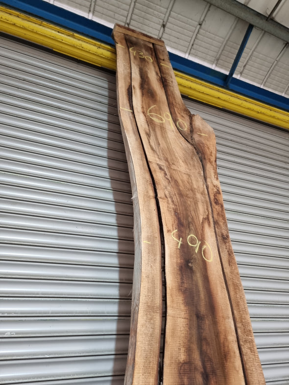 Live Edge Walnut Slab