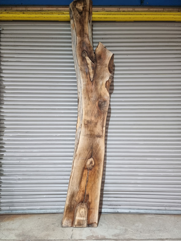 Live Edge Walnut Slab