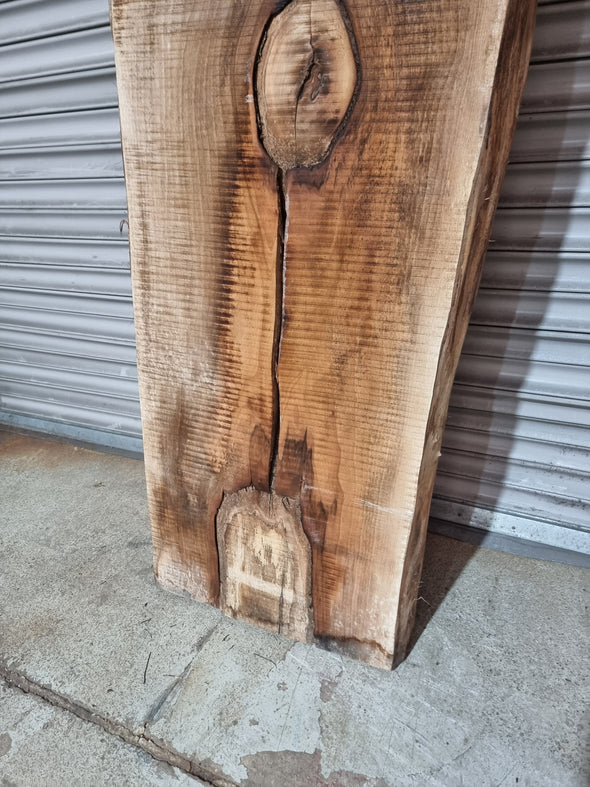 Live Edge Walnut Slab