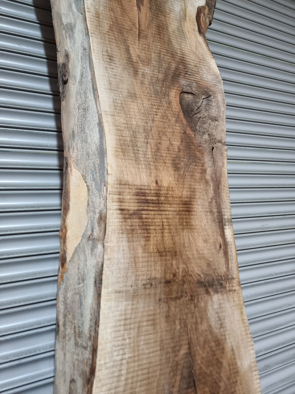 Live Edge Walnut Slab