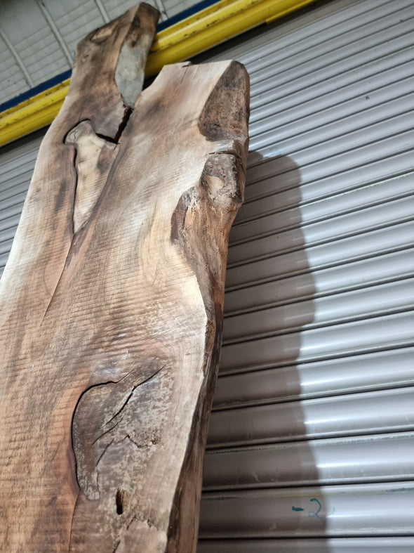 Live Edge Walnut Slab