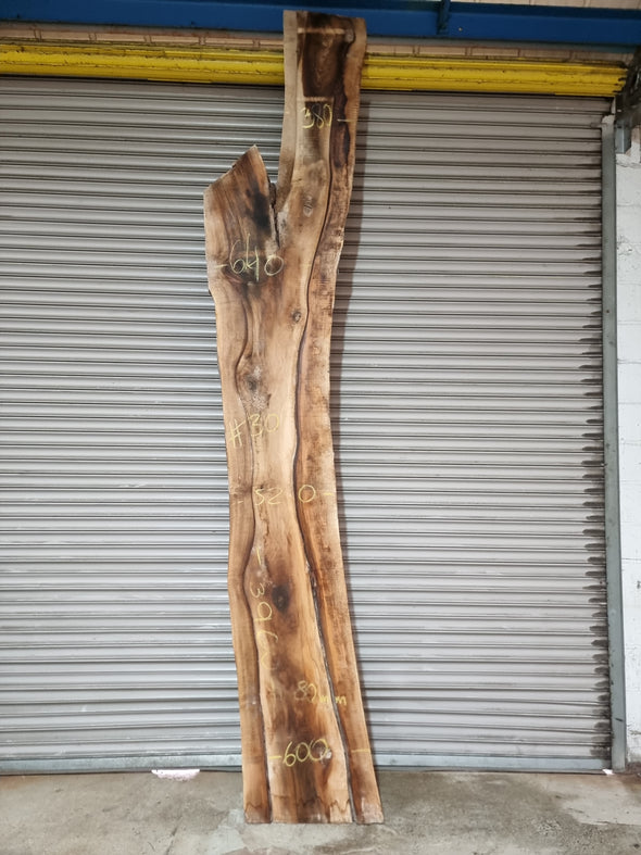 Live Edge Walnut Slab