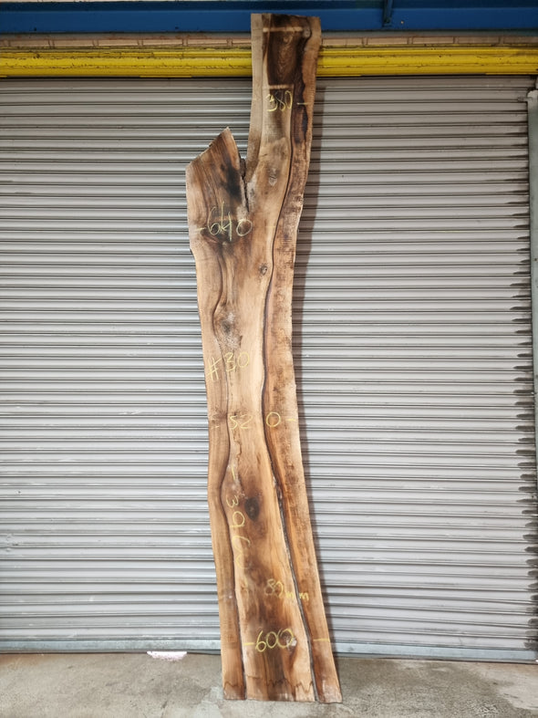 Live Edge Walnut Slab