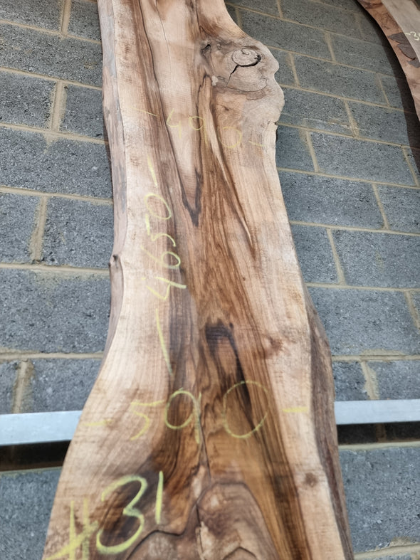 Live Edge Walnut Slab