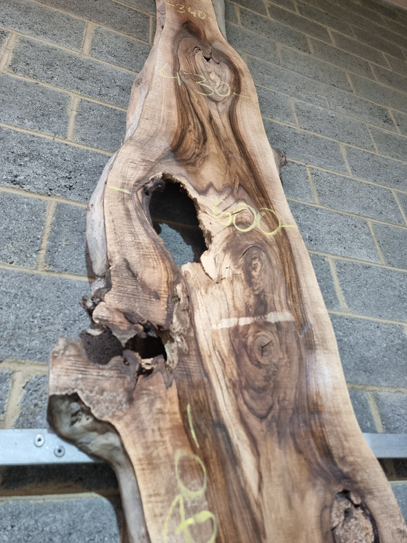 Live Edge Walnut Slab