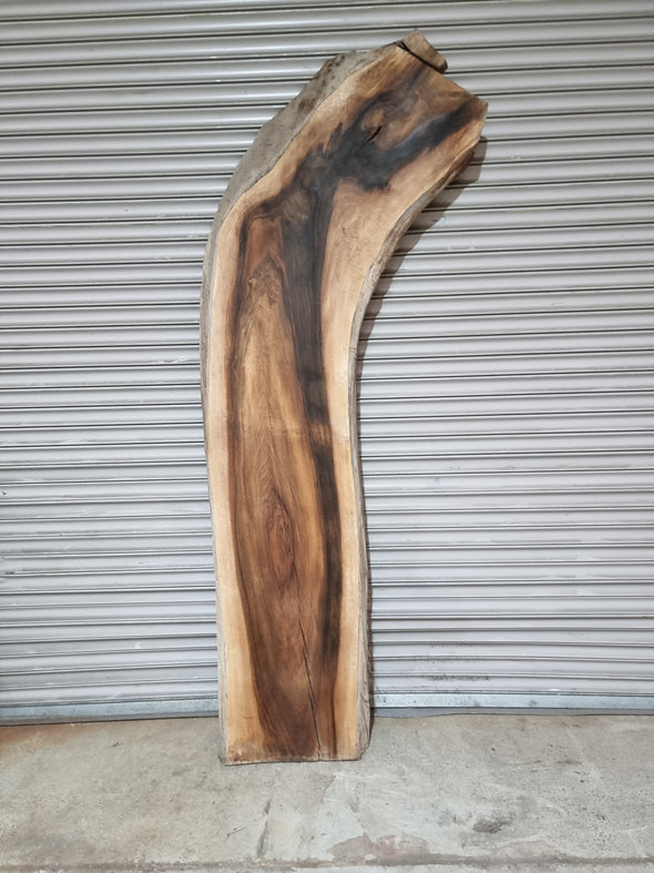 Live Edge Walnut Slab