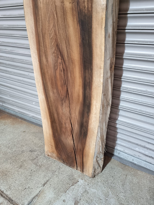 Live Edge Walnut Slab