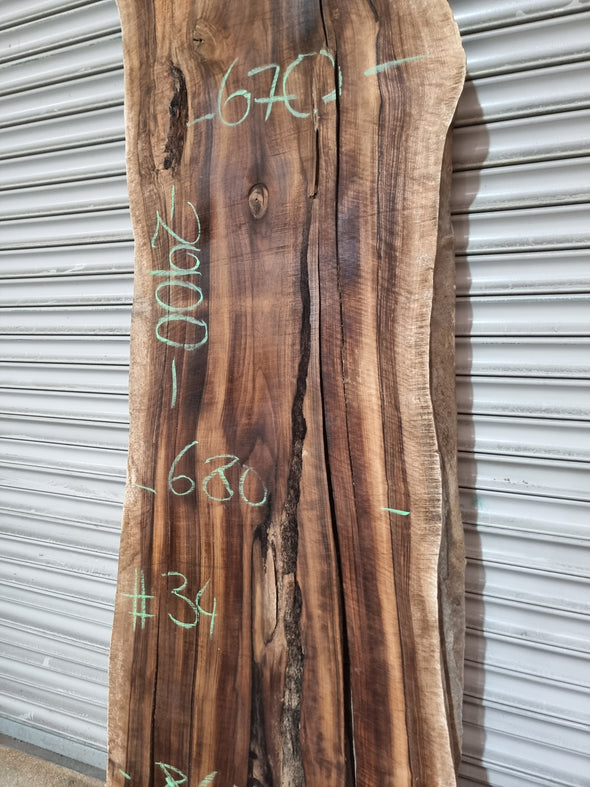 Live Edge Walnut Slab