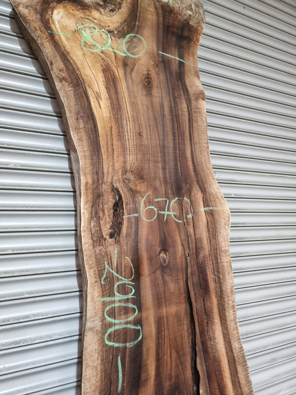 Live Edge Walnut Slab