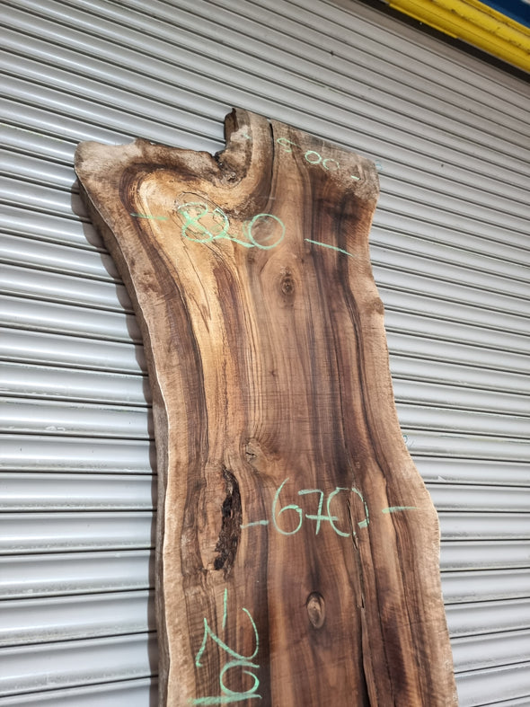 Live Edge Walnut Slab