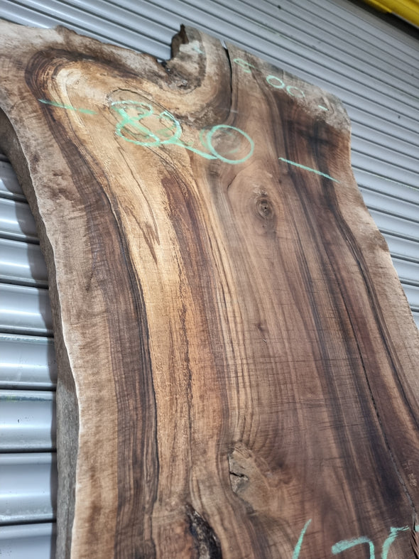 Live Edge Walnut Slab