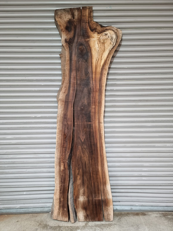 Live Edge Walnut Slab