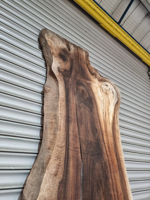 Live Edge Walnut Slab