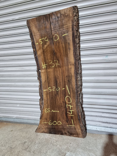 Live Edge Walnut Slab