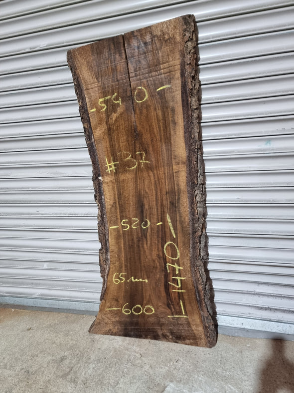 Live Edge Walnut Slab