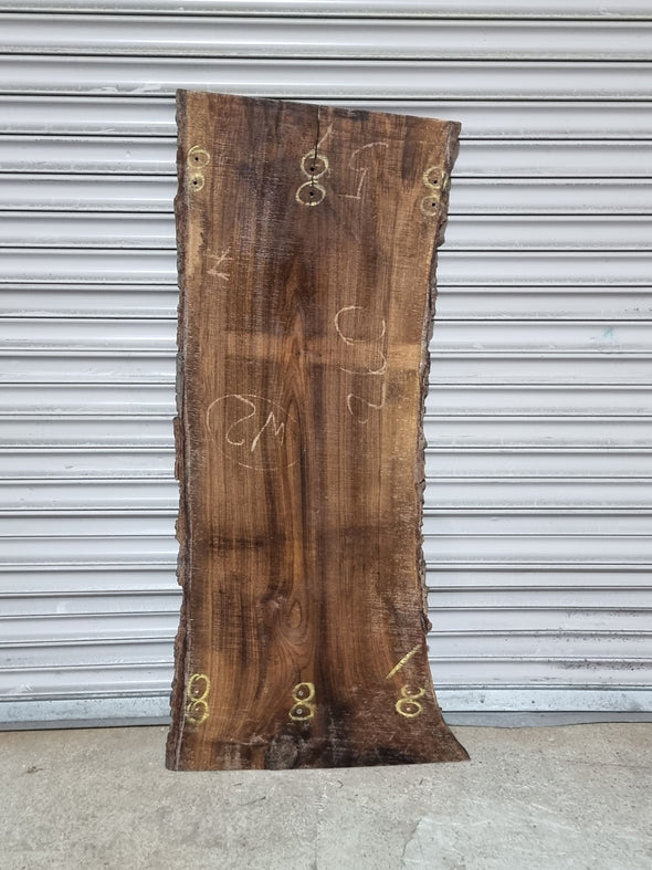 Live Edge Walnut Slab