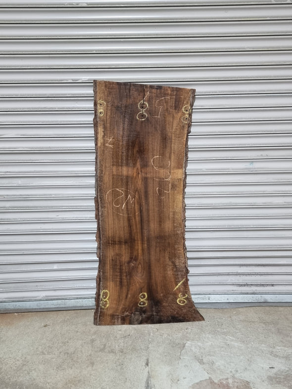 Live Edge Walnut Slab