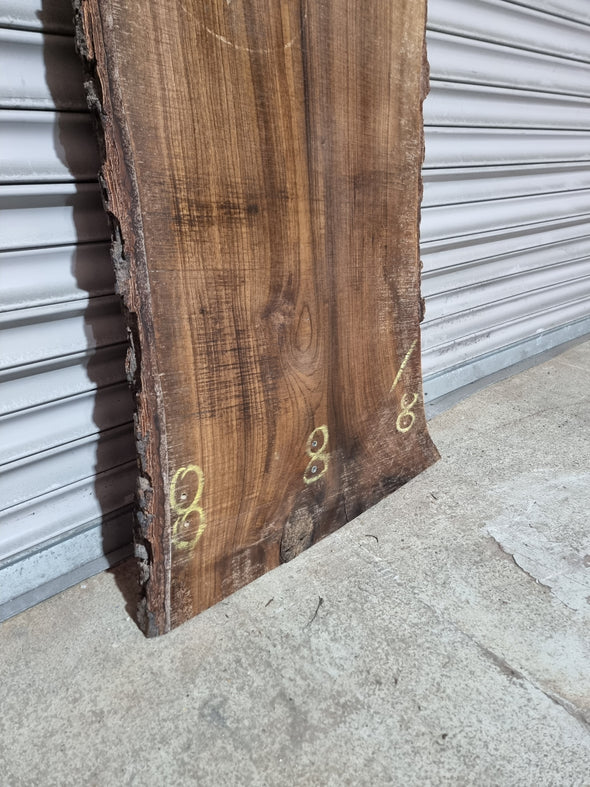 Live Edge Walnut Slab