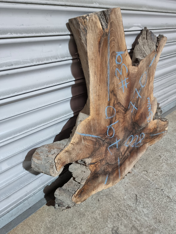 Live Edge Walnut Slab