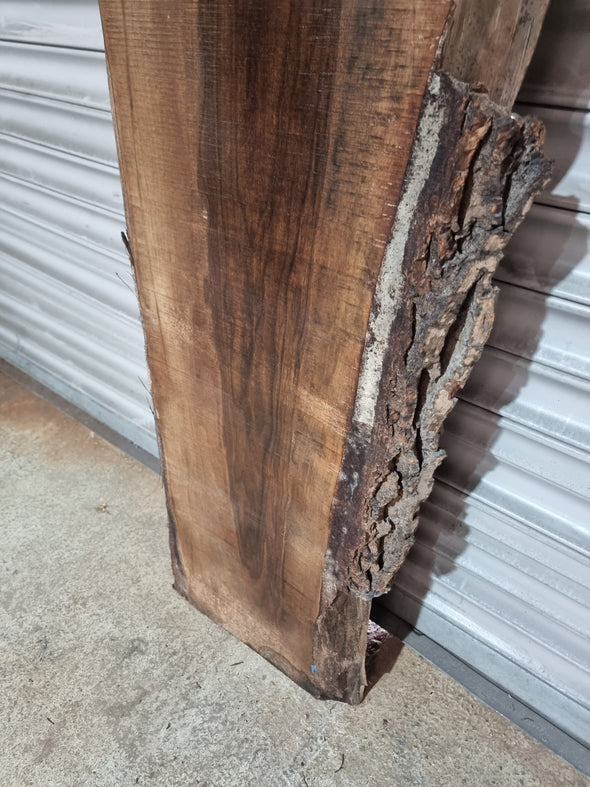 Live Edge Walnut Slab