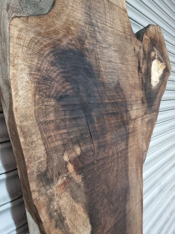 Live Edge Walnut Slab