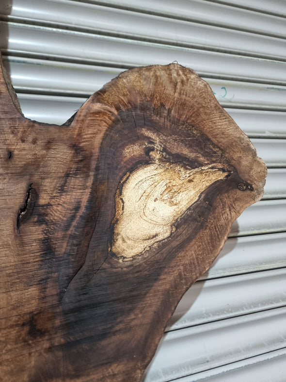 Live Edge Walnut Slab